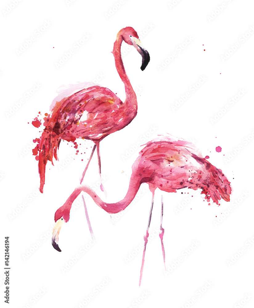 Naklejka Akwarela, flamingi