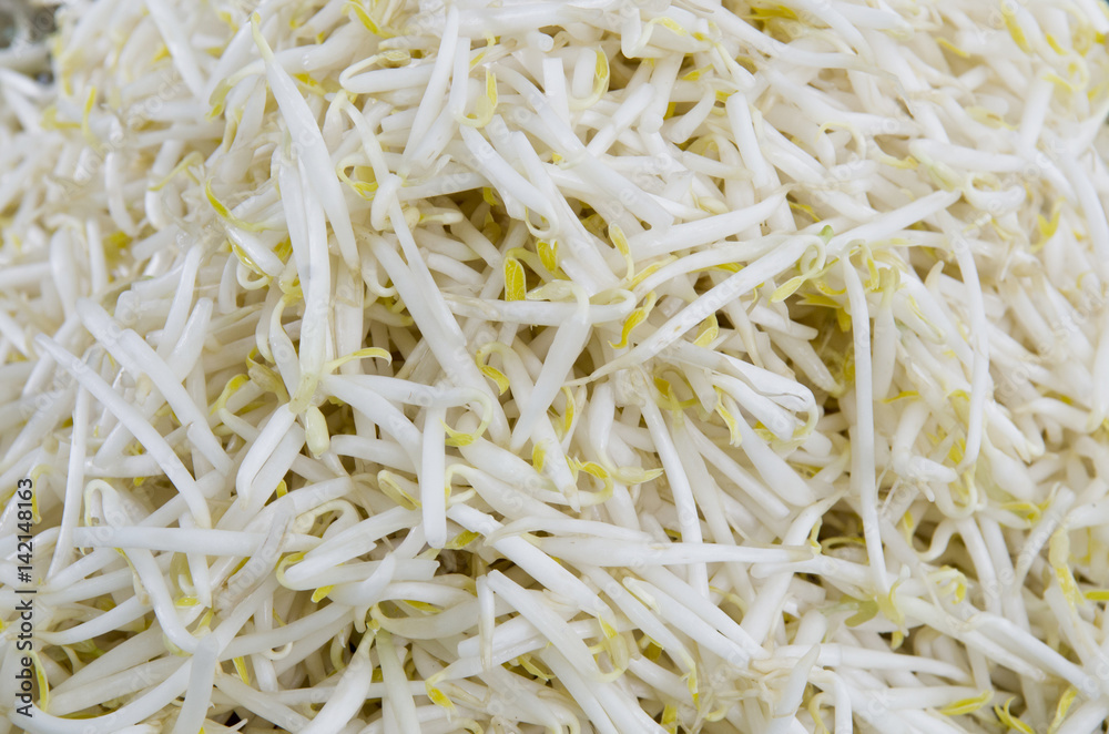 close-up to Bean sprouts background