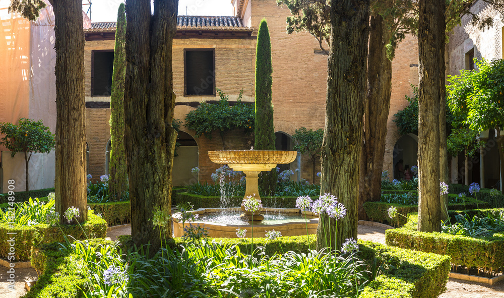 Fototapeta premium Fountain in Moorish palace in Alhambra