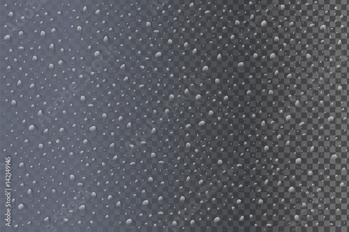Vector collection of realistic water drops on the transparent background. Realistic raindrop effects on window.