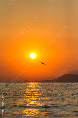 Lonely american white pelican flying into the sunrise with orange illuminated sky and mountains in the background