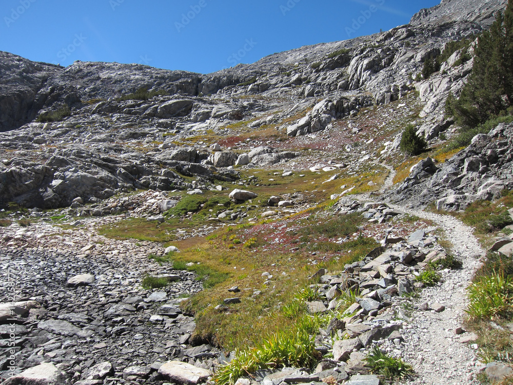 Fototapeta premium Hiking trail in Kings Canyon National Park 