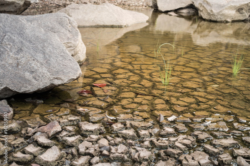 Ground waiting for water to get rid of grought, Drought concept. photo