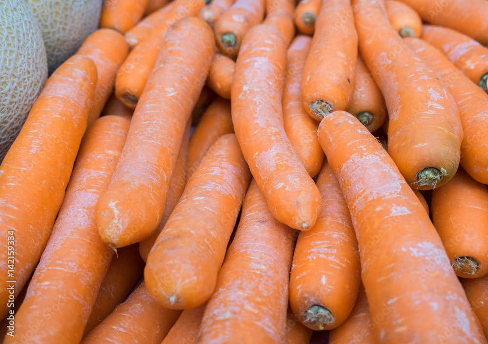 Big carrots for sale at local city market Big carrots for sale at local city market