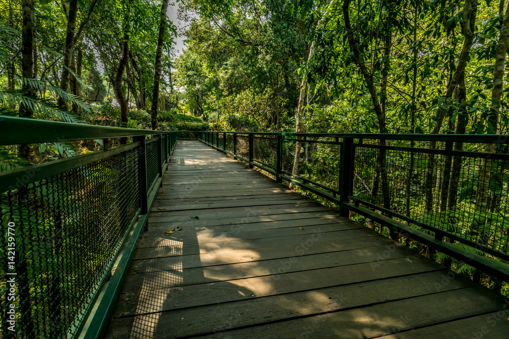 Obraz premium Drewniana kładka w parku