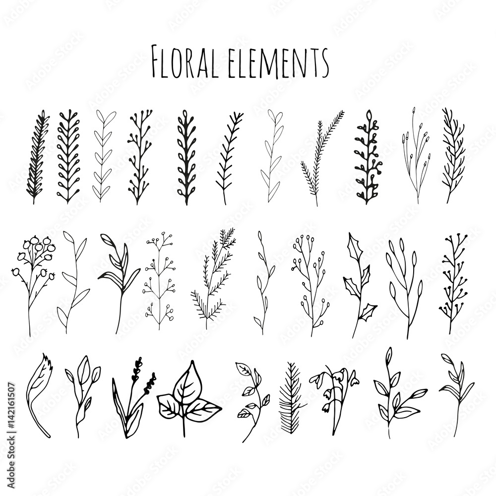 Fototapeta Collection of hand drawn vector florals and branches with leaves, flowers, berries. Modern sketch collection. Decorative elements for design