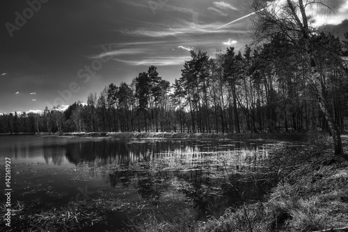 Fototapeta Naklejka Na Ścianę i Meble -  Kobiór
