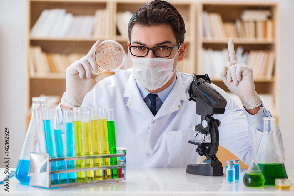 Doctor studying virus bacteria in the lab Doctor studying virus bacteria in the lab