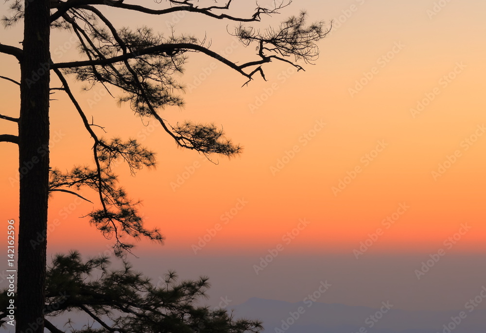Landscape of sky sunset view with tree silhouette. Landscape of sky sunset view with tree silhouette.