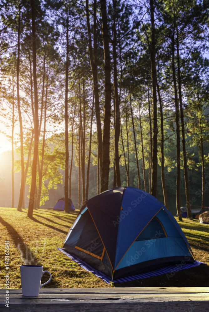 Cup of coffee in tent with forest sunrise view Cup of coffee in tent with forest sunrise view