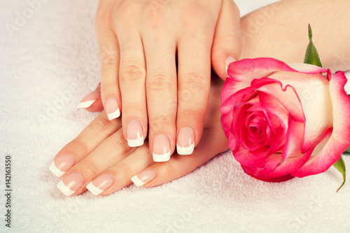 Beautiful female hands with french manicure near rose flower. Manicure salon.