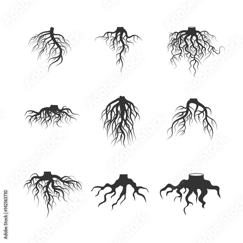 Tree and plant underground roots vector set