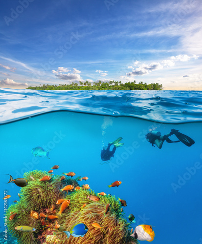Divers below the water surface exploring sea life