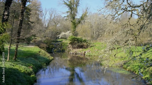 English countryside stream and waterfall photo