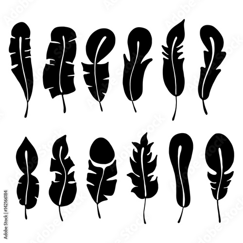 Vector set of hand drawn illustration, decorative stylized feather. Black and white graphic, silhouettes illustration, isolated on the white background. Inc drawing silhouette.