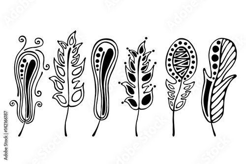 Vector set of hand drawn illustration, decorative ornamental stylized feather. Black and white graphic illustration isolated on the white background. Inc drawing silhouette.