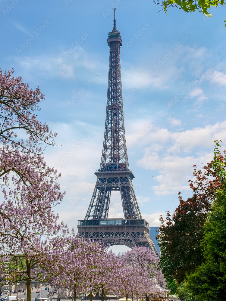 Eiffel Tower among blossoming trees in spring