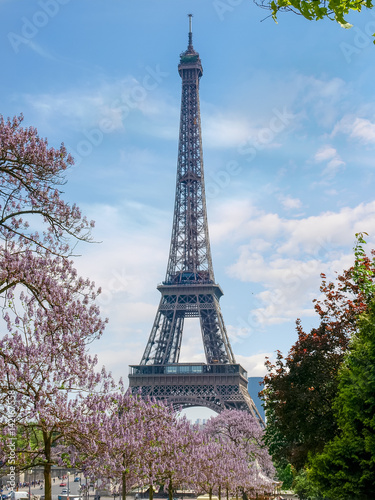 Fototapeta Naklejka Na Ścianę i Meble -  Eiffel Tower among blossoming trees in spring