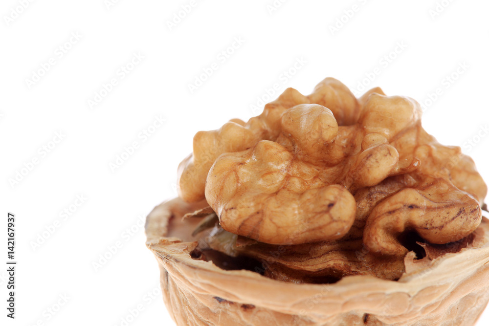 walnut walnut
