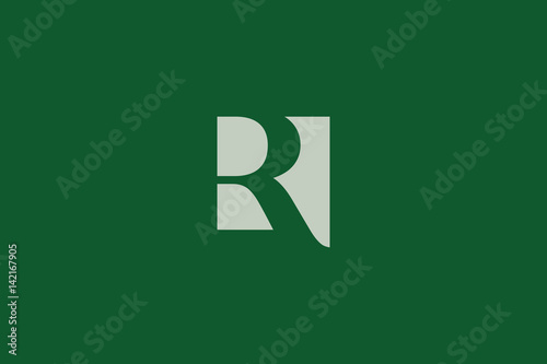 Luxurious Brand Letter R Logo