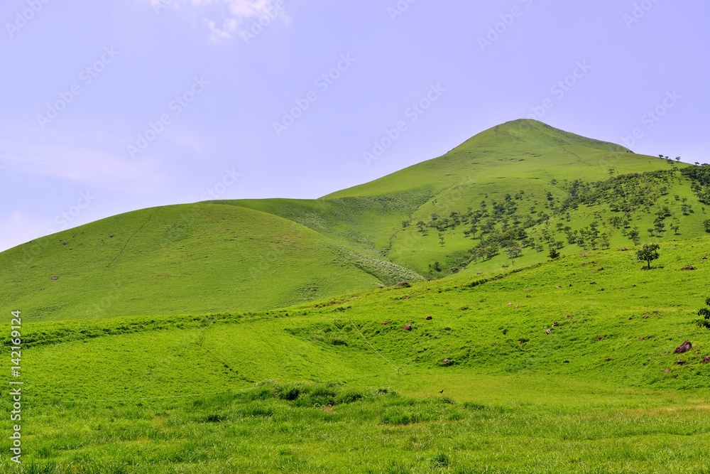 Fototapeta premium 由布岳