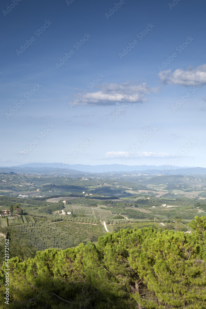 Obraz premium Countryside near San Gimignano; Tuscany;