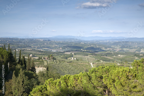 Countryside near San Gimignano  Tuscany