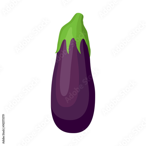 Purple eggplant in cartoon flat style. Natural, fresh vegetable