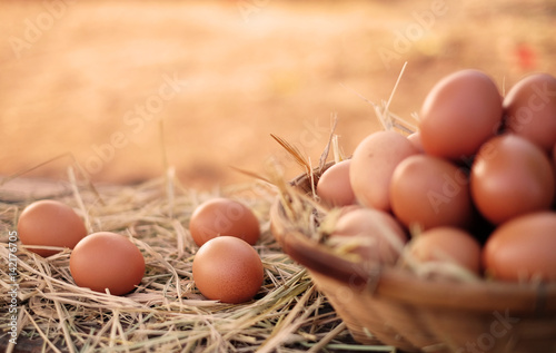 Chicken eggs quality organic in basket. Egg in the basket. Many fresh chicken eggs in the basket with straw. Egg on sunrise background in the morning. Close up