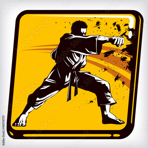 Dynamic icon of martial arts fighter