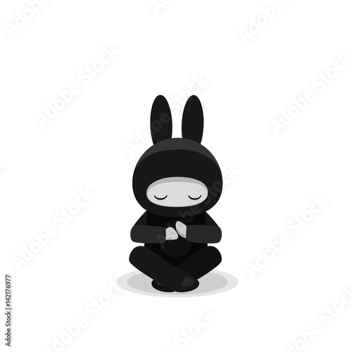 Sitting cute bunny ninja isolated on white background