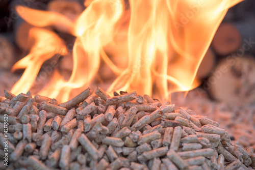 Tablou pe pânză Biomass inn fire