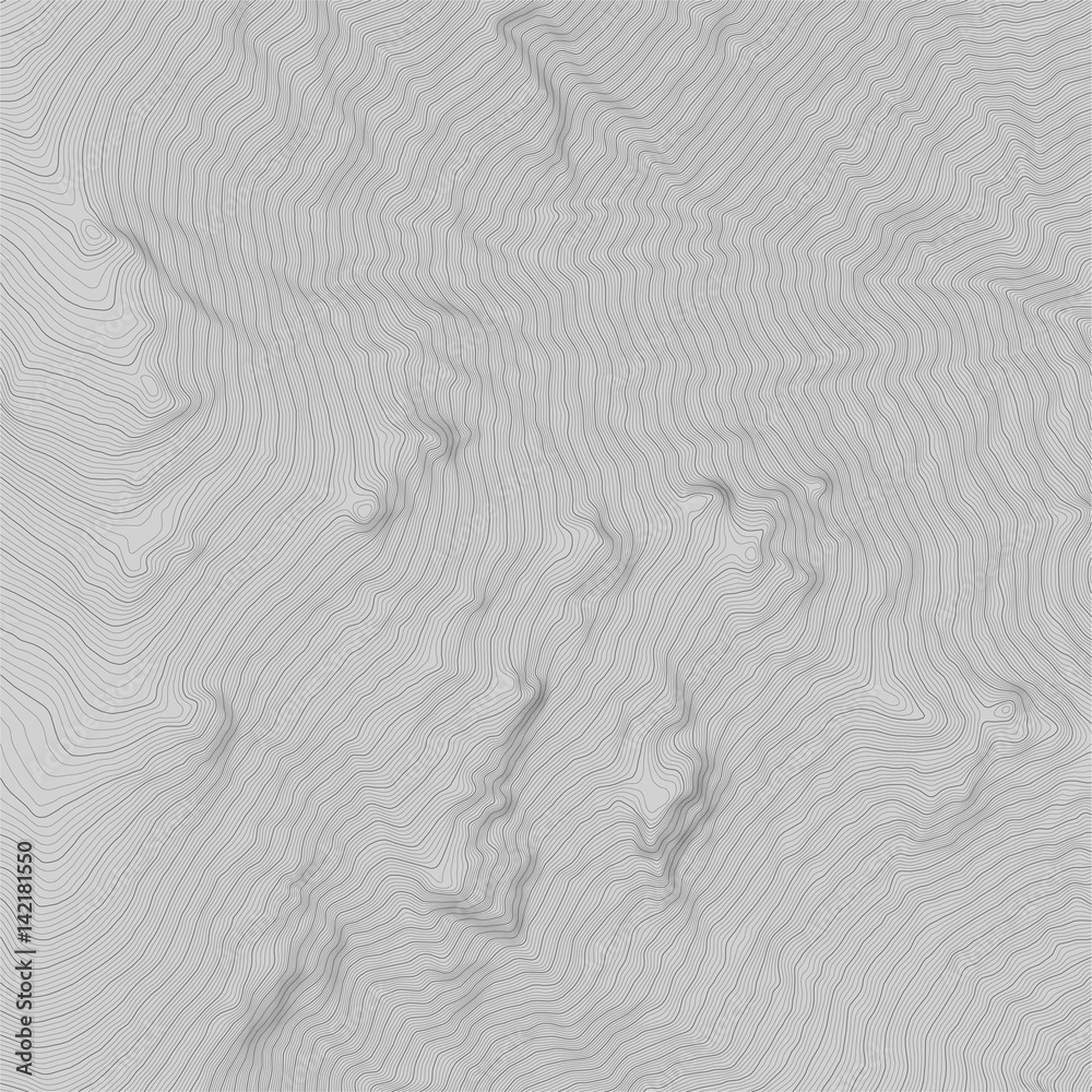 Obraz premium Vector abstract earth relief map. Generated conceptual elevation map.