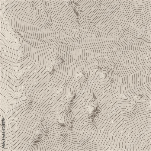 Vector abstract earth relief map. Generated conceptual elevation map.