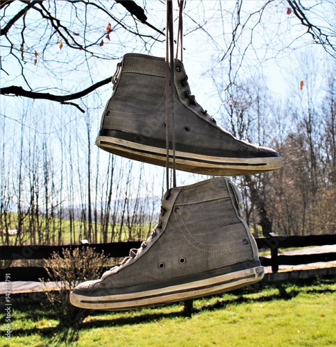 An image of shoes handing in the tree