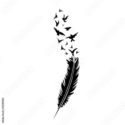 Black-and-white feather on white backround, vector illustration
