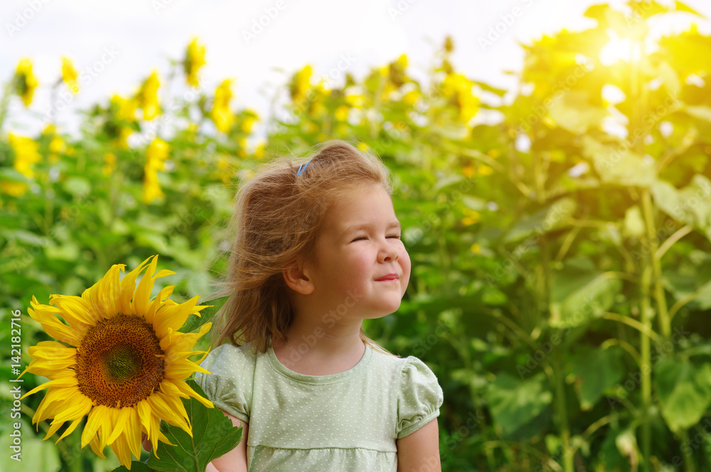 girl and sunflower on the field girl and sunflower on the field