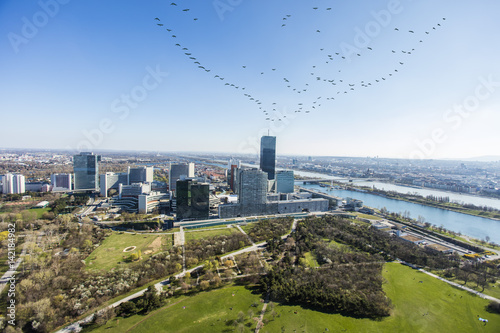 Photography Aerial view of danube river and vienna international center,birds flying above