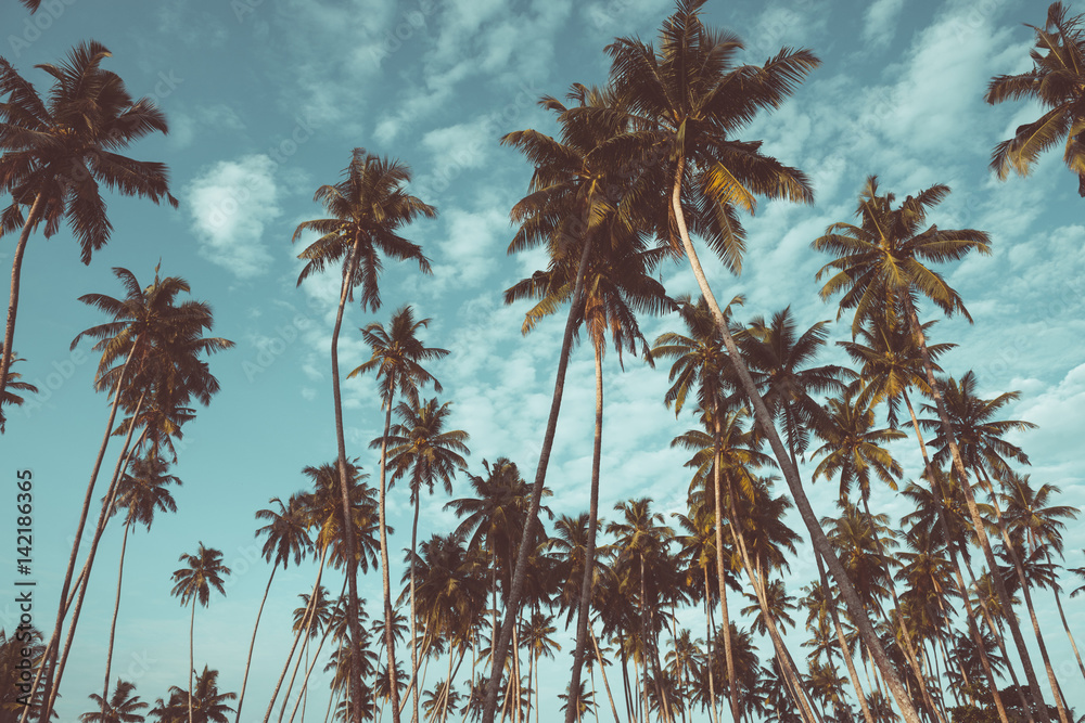 Naklejka premium Palmy kokosowe na tropikalnej plaży, nostalgiczny filtr kolorów filmu stylizowany i stonowany