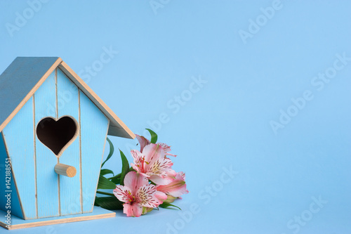 decorative starling box © Art_man