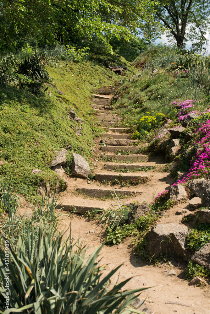 Picturesque stairs among blooming flowers and trees leading up Picturesque stairs among blooming flowers and trees leading up