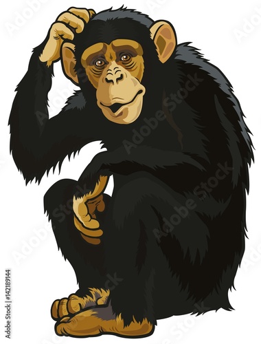 The big macaque sits and thinks