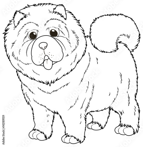 Doodle animal for chow chow dog