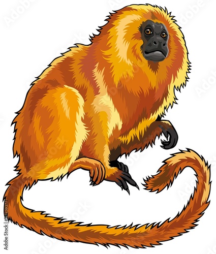 The big macaque sits and thinks
