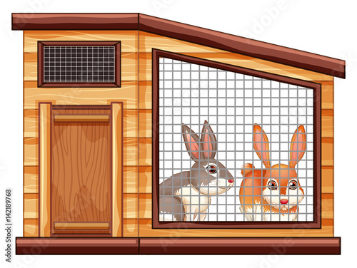 Two cute rabbits in coop