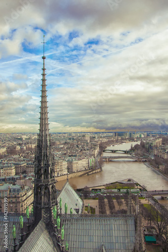 View from the roof of Notre Dame on the spire of the tower. The river Seine, the panorama of the city, the horizon and the beautiful sky. Cite Island, Paris.