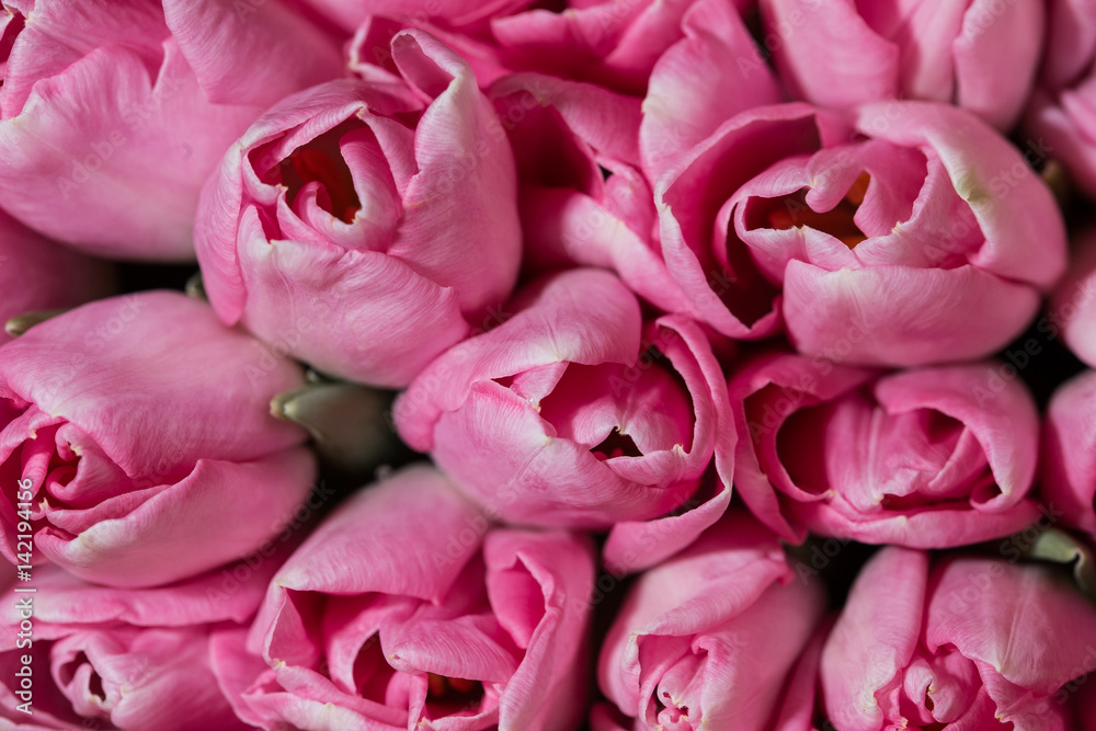 Amazing colorful spring bouquet tulips closeup. Background of flowers Amazing colorful spring bouquet tulips closeup. Background of flowers