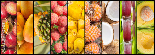 collage de fruits exotiques. photo