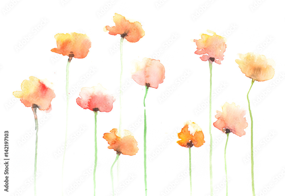 Obraz premium Yellow poppy flowers