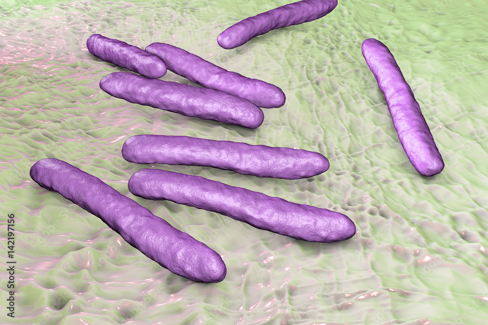 Bacteria Mycobacterium tuberculosis, the causative agent of tuberculosis, 3D illustration Bacteria Mycobacterium tuberculosis, the causative agent of tuberculosis, 3D illustration